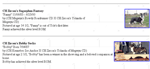 Old Cardigan Page Middle