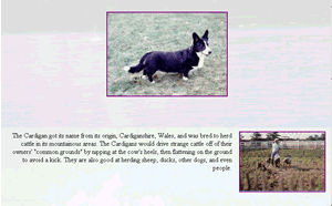 Revised Cardigan Page Middle 1