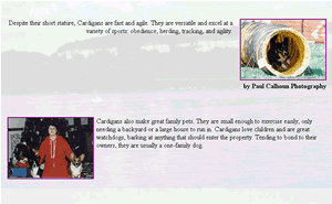 Revised Cardigan Page Middle 2