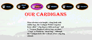 Revised Cardigan Page Top